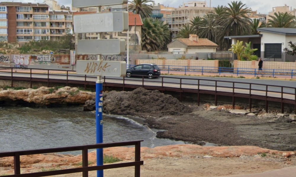 Posidonia -meriheinää Torreviejassa, Curva del Palangren poukamassa