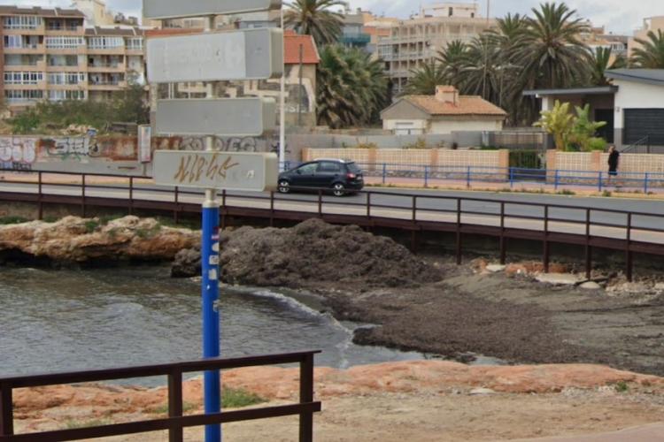 Posidonia -meriheinää Torreviejassa, Curva del Palangren poukamassa